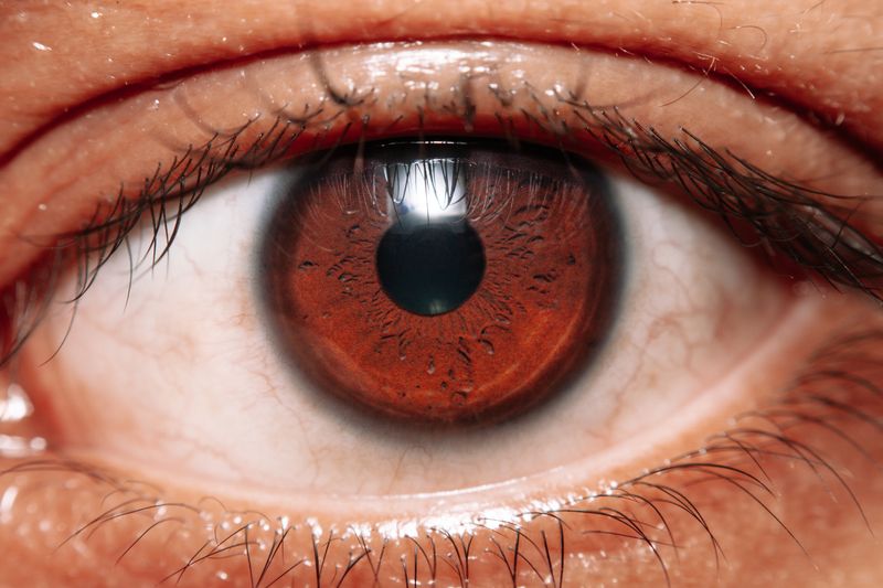 Extreme close-up of human eye showing iris detail used in biometric identification